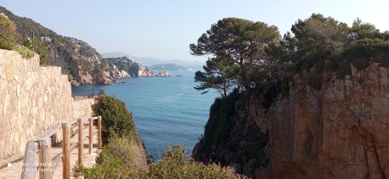 Villa Blanca 10 Minutos De La Playa Costa Brava Massanet De La Selva 외부 사진